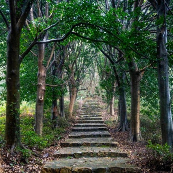 江苏无锡：超80公里“绿脉”，打造“家门口的诗与远方”