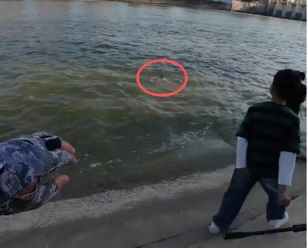 30秒救起！河南一男孩落水，“钓鱼佬”跳水相救同行者协助：不太会游泳，但人命关天