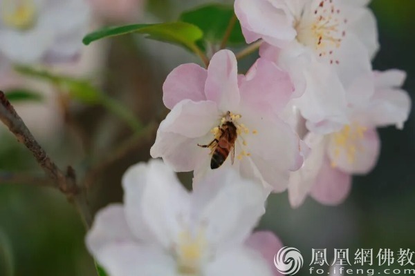 一日禅：翻篇