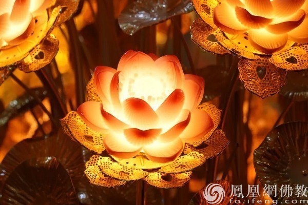 一日禅：痛苦的来源
