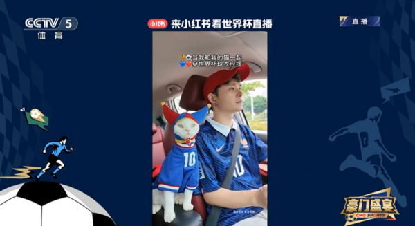 世界杯，开启宠物经济“增量”新空间
