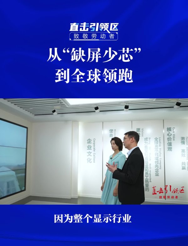 从“缺屏少芯”到全球领跑