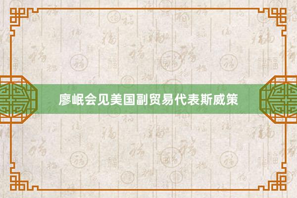 廖岷会见美国副贸易代表斯威策