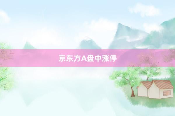 京东方A盘中涨停