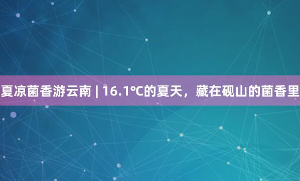 夏凉菌香游云南 | 16.1℃的夏天,藏在砚山的菌香里