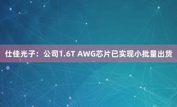 仕佳光子：公司1.6T AWG芯片已实现小批量出货