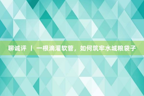 聊诚评 丨 一根滴灌软管，如何筑牢水城粮袋子