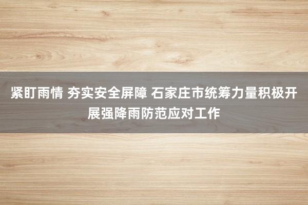 紧盯雨情 夯实安全屏障 石家庄市统筹力量积极开展强降雨防范应对工作
