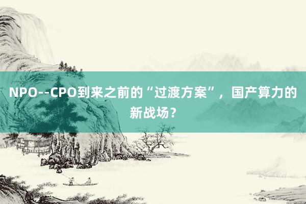 NPO--CPO到来之前的“过渡方案”，国产算力的新战场？