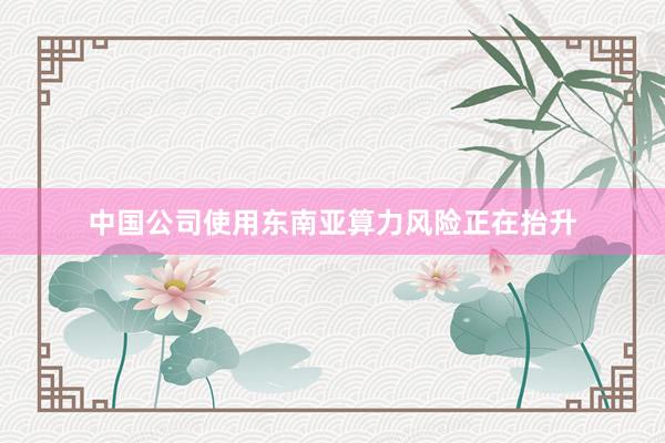 中国公司使用东南亚算力风险正在抬升