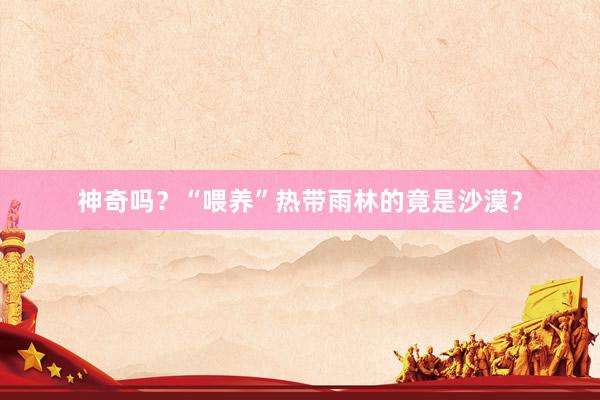 神奇吗？“喂养”热带雨林的竟是沙漠？