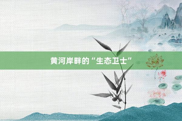 黄河岸畔的“生态卫士”