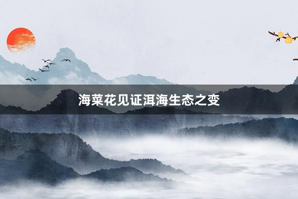 海菜花见证洱海生态之变