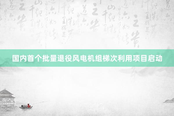 国内首个批量退役风电机组梯次利用项目启动