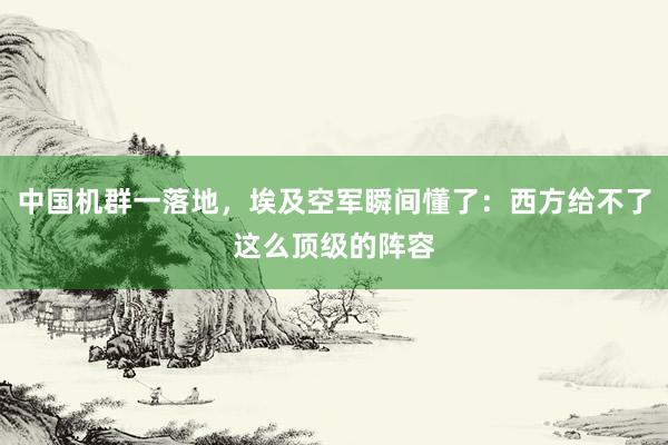 中国机群一落地，埃及空军瞬间懂了：西方给不了这么顶级的阵容
