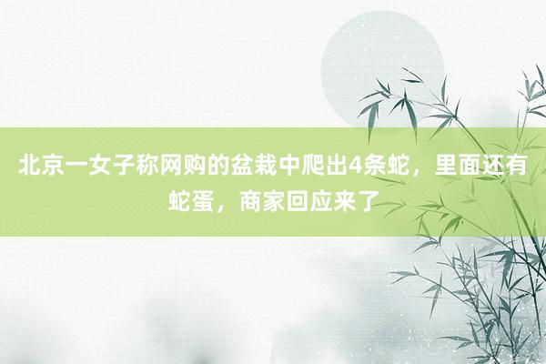 北京一女子称网购的盆栽中爬出4条蛇，里面还有蛇蛋，商家回应来了