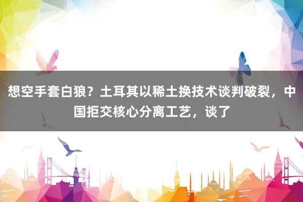 想空手套白狼？土耳其以稀土换技术谈判破裂，中国拒交核心分离工艺，谈了