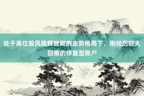 处于高位股风险释放期的走势格局下，刚经历较大回撤的修复型账户