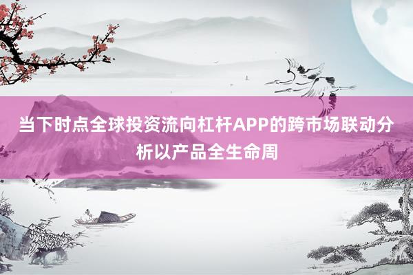 当下时点全球投资流向杠杆APP的跨市场联动分析以产品全生命周