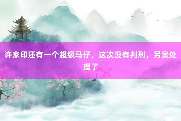 许家印还有一个超级马仔，这次没有判刑，另案处理了