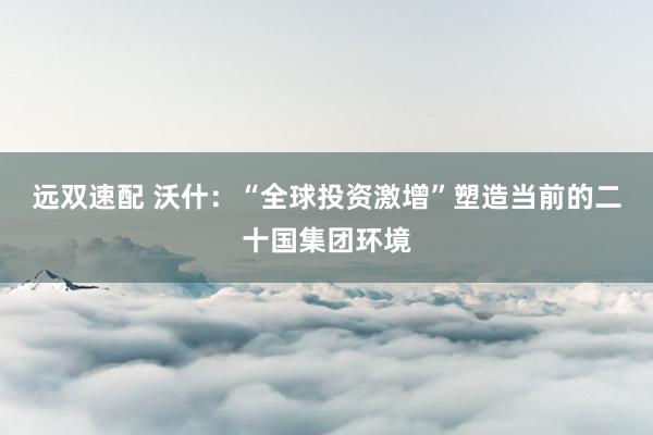 远双速配 沃什：“全球投资激增”塑造当前的二十国集团环境