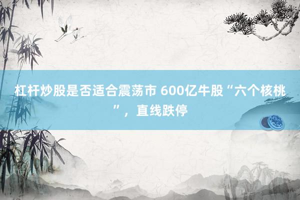 杠杆炒股是否适合震荡市 600亿牛股“六个核桃”，直线跌停
