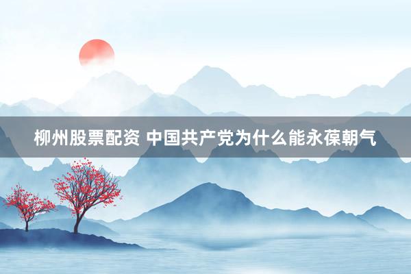 柳州股票配资 中国共产党为什么能永葆朝气