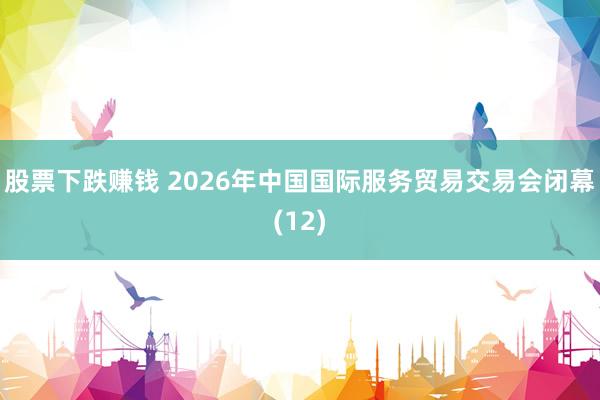 股票下跌赚钱 2026年中国国际服务贸易交易会闭幕(12)