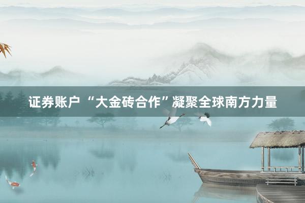 证券账户 “大金砖合作”凝聚全球南方力量