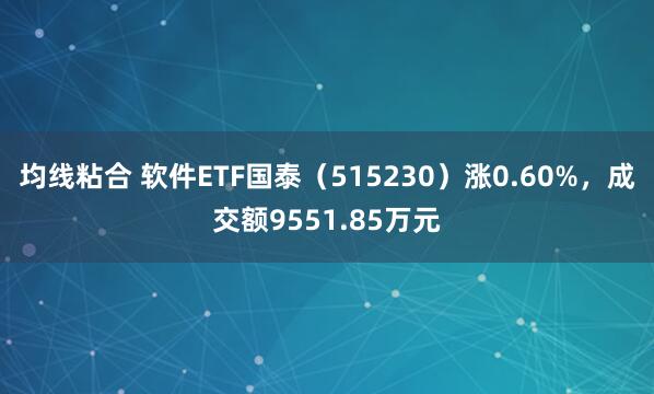 均线粘合 软件ETF国泰（515230）涨0.60%，成交额9551.85万元