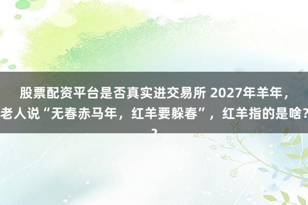 股票配资平台是否真实进交易所 2027年羊年，老人说“无春赤马年，红羊要躲春”，红羊指的是啥？